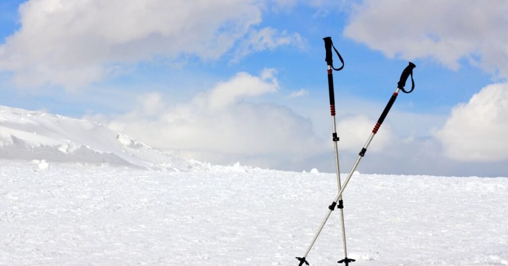 Ski Poles